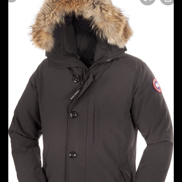 Canada Goose Other - Canada goose chateaux